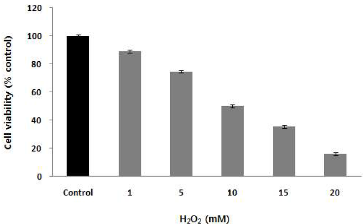H2O2로 유도된 HaCaT 세포의 손상에 대한 세포생존율