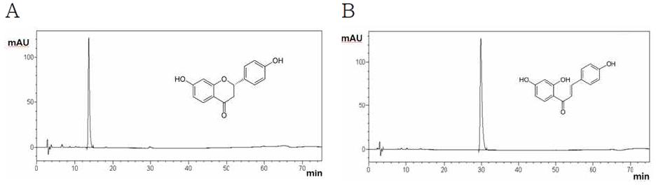Liquiritigenin(A)과 isoliquiritigenin(B)의 HPLC 분석