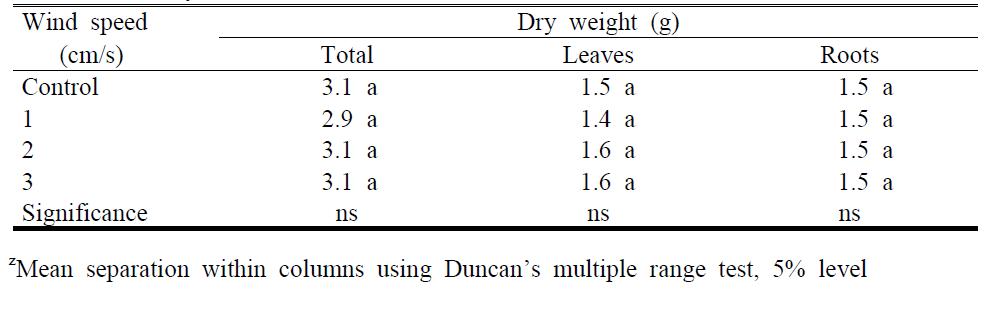 Dry weights of duffy fern (Nephrolepsis cordifolia cv. Duffii) as influenced by wind speed within biofilter system