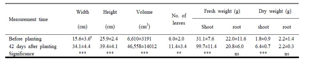 Growth characteristics of Dieffenbachia amoena ‘Mariane’ before and after planting within a horizontal biofilter