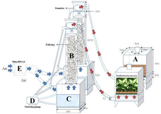 Diagram of the horizontal biofilter system used in this experiment