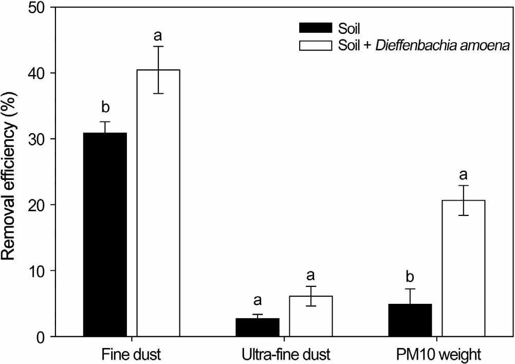 Removal efficiency of fine dust (2-10 μm) and ultra-fine dust (0.3-2 μm) particle numbers and PM10 weight (mg m-3) in a horizontal biofilter system depending on whether Diffenbachia amoena was planted in the biofilter