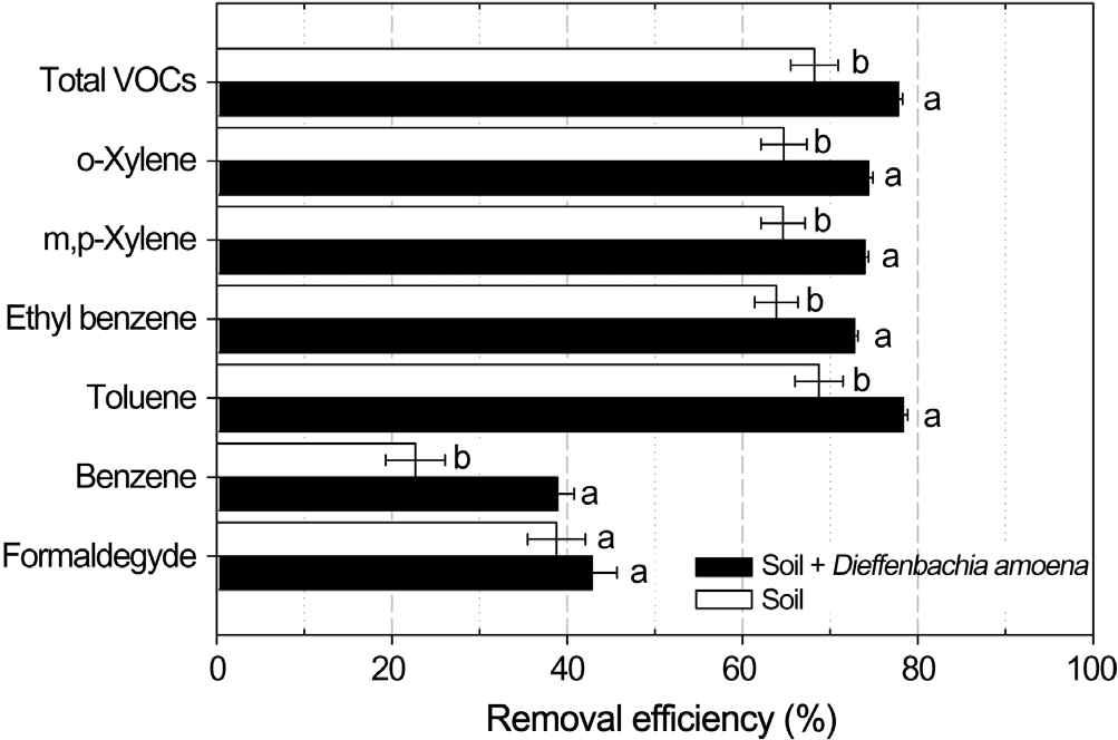 Removal efficiency of total volatile organic compounds(T-VOCs), aromatic hydrocarbons (benzene, ethyl benzene, toluene, and xylene), and formaldehyde in a horizontal biofilter system depending on whether Diffenbachia amoena was planted in the biofilter