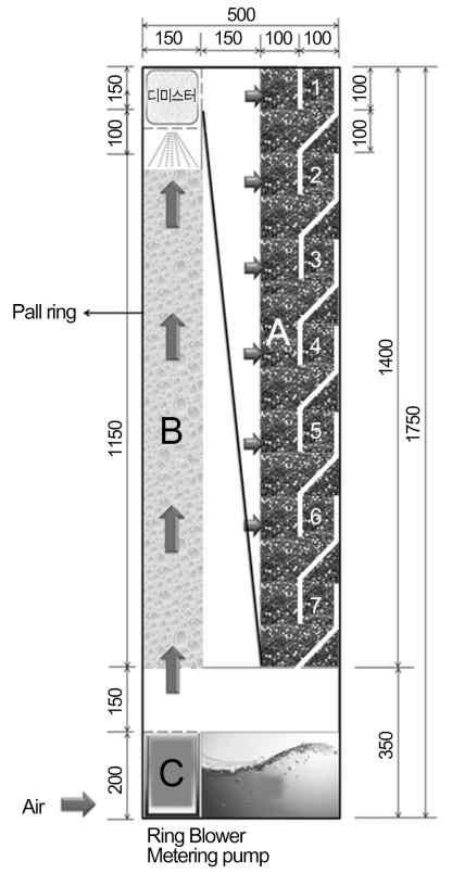 Diagram of the wall-typed botanical biofiltration system used in this work (left side, direction of air movement: C → B → A)