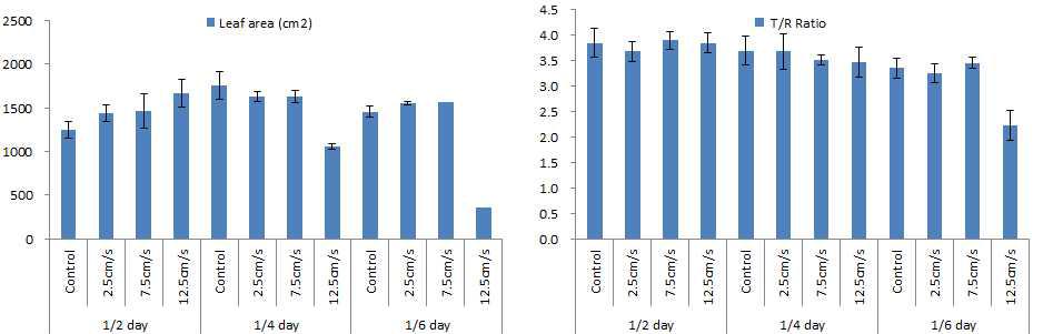 관수주기와 송풍속도가 안스리움의 엽면적과 T/R ratio에 미치는 효과