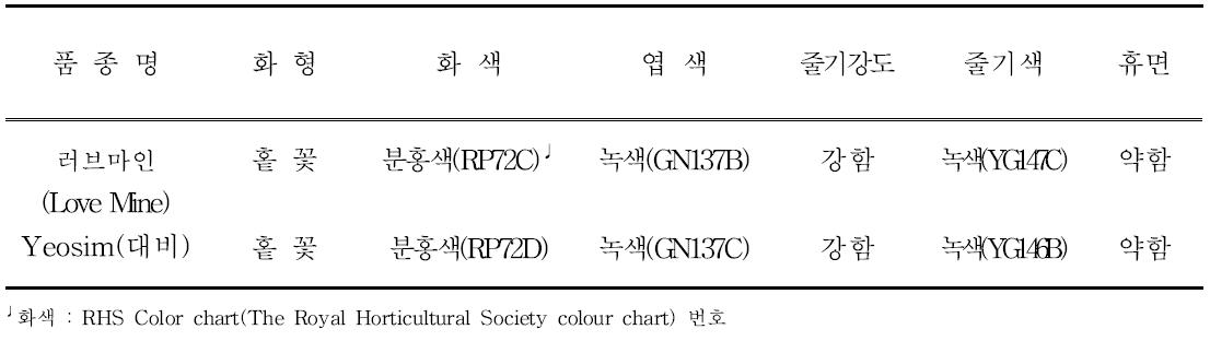 ‘러브마인’의 고유특성