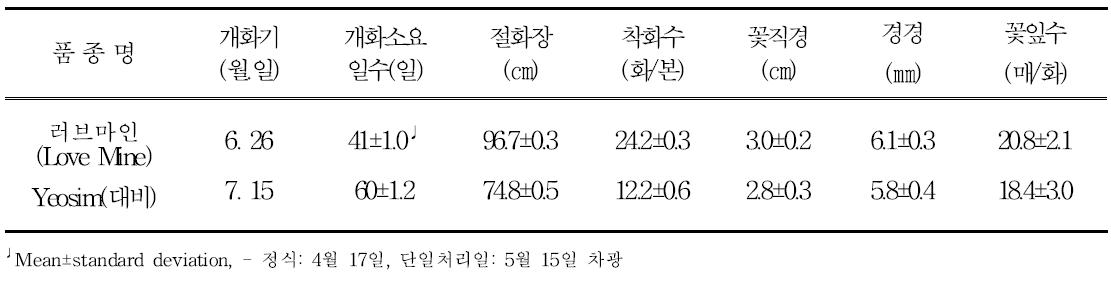 ‘러브마인’의 촉성재배 특성