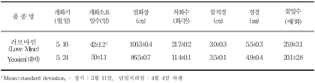 ‘러브마인’의 억제재배 특성