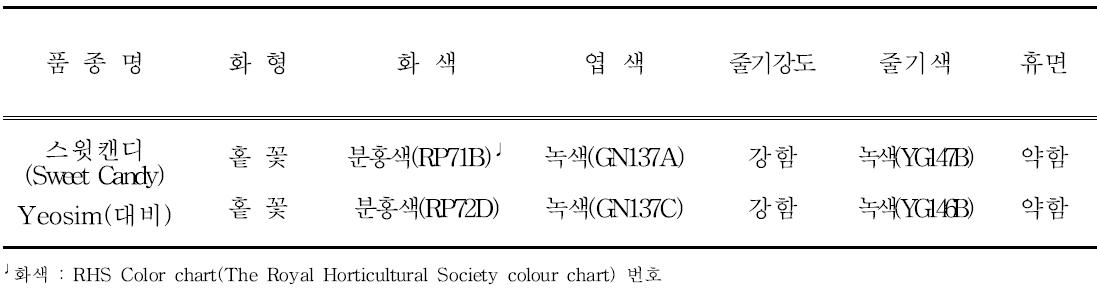 ‘스윗캔디’의 고유특성