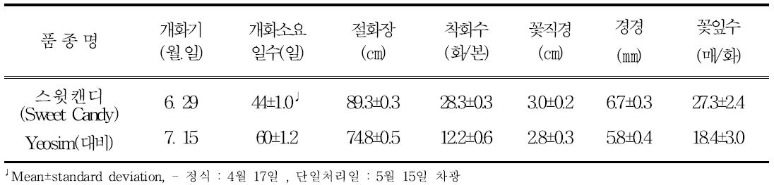 ‘스윗캔디’의 촉성재배 특성