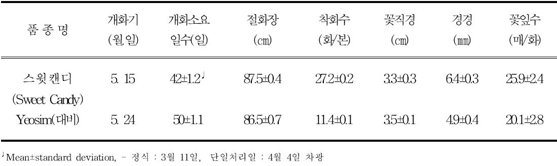 ‘스윗캔디’의 억제재배 특성