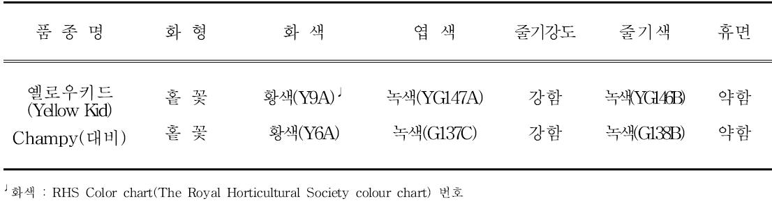 ‘옐로우키드’의 고유특성