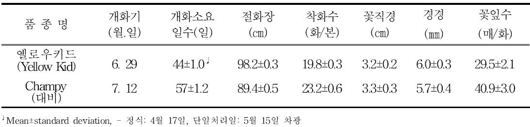 ‘옐로우키드’의 촉성재배 특성