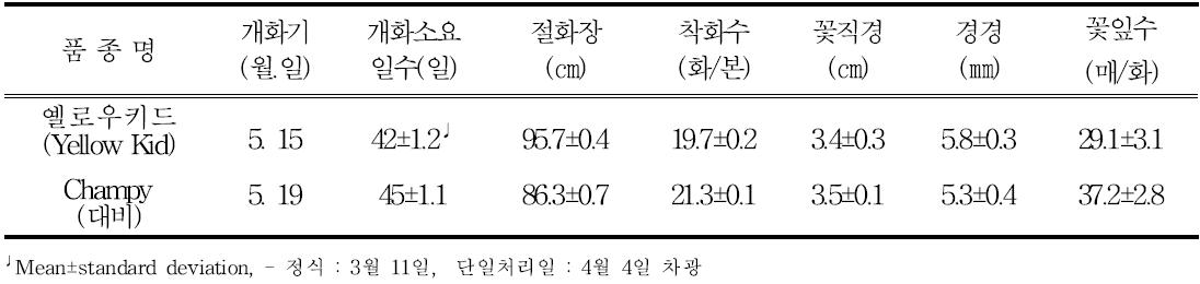 ‘옐로우키드’의 억제재배 특성