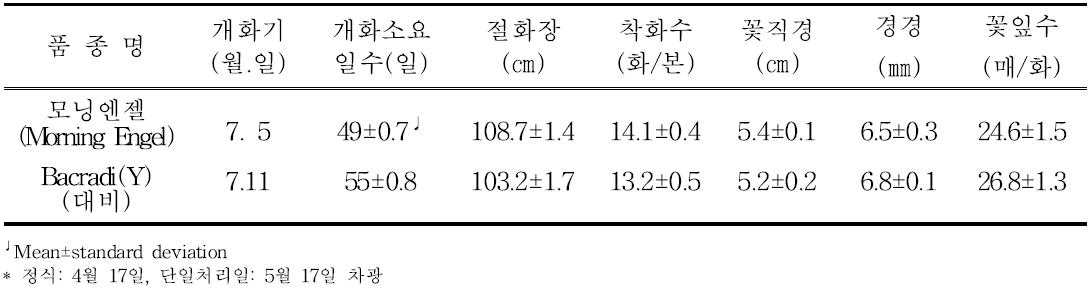 ‘모닝엔젤’의 촉성재배 특성