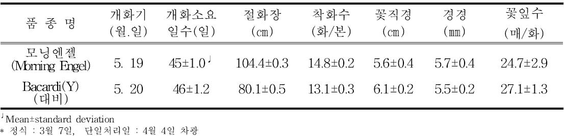 ‘모닝엔젤’의 억제재배 특성