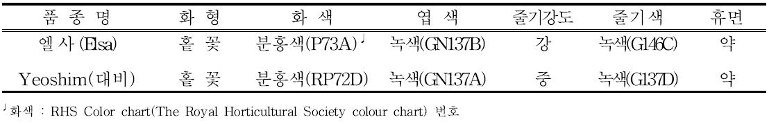 ‘엘사’의 고유특성