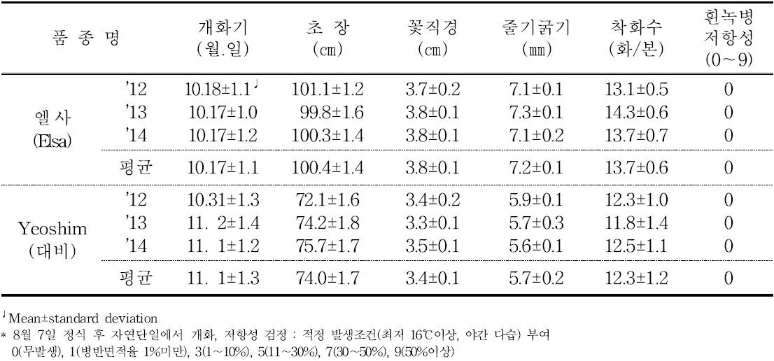 ‘엘사’의 가변특성