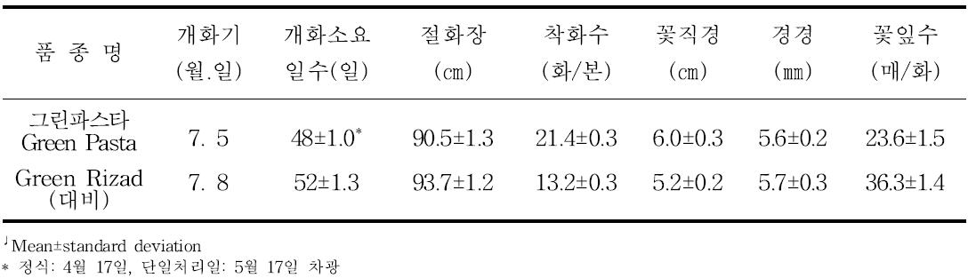 ‘그린파스타’의 촉성재배 특성