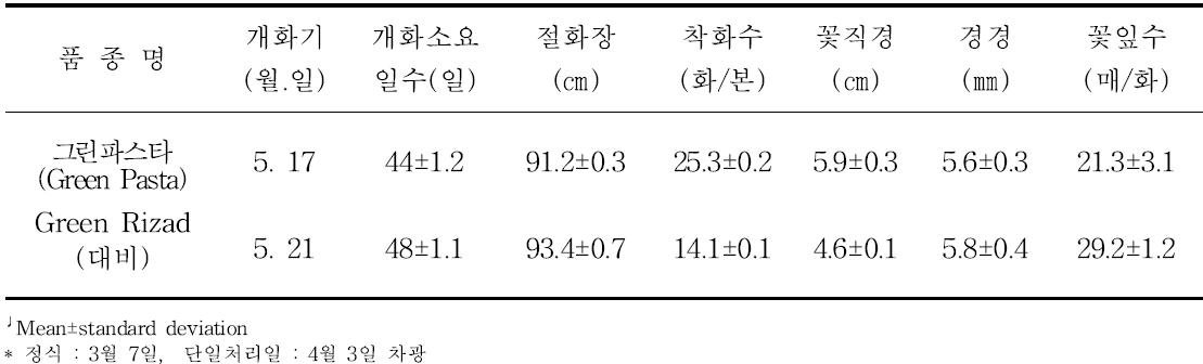 ‘그린파스타’의 억제재배 특성