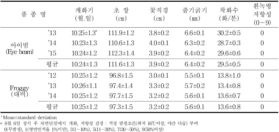 ‘아이빔’의 가변특성