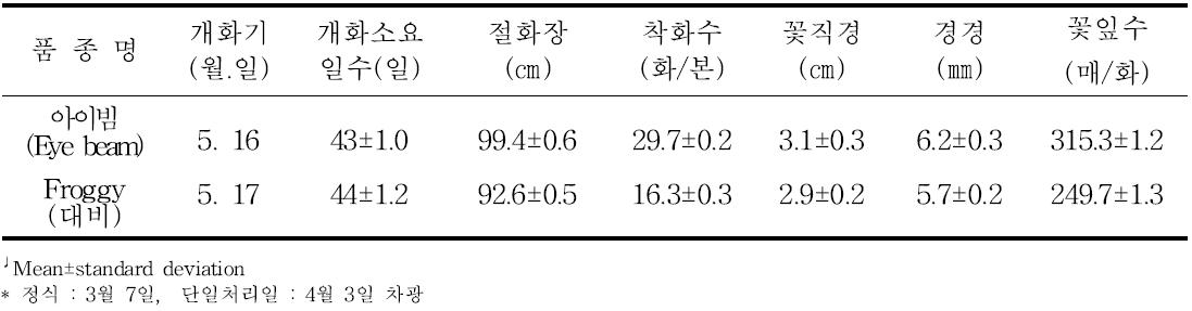 ‘아이빔’의 억제재배 특성