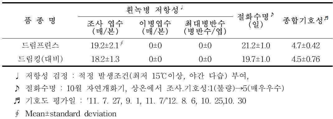 ‘드림프린스’ 흰녹병 저항성, 절화수명 및 기호도