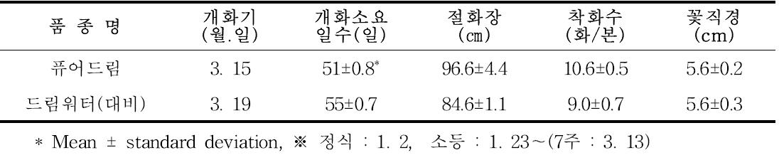 ‘퓨어드림’ 전조재배형 특성