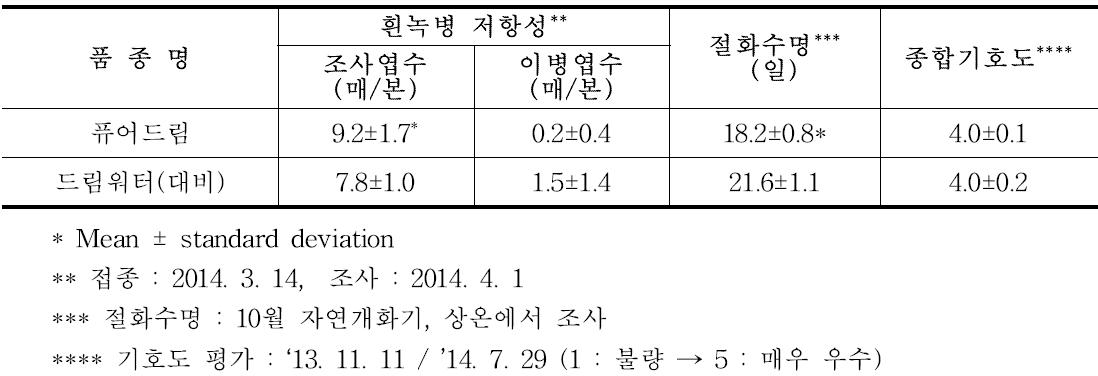 ‘퓨어드림’ 흰녹병 저항성, 절화수명, 기호성