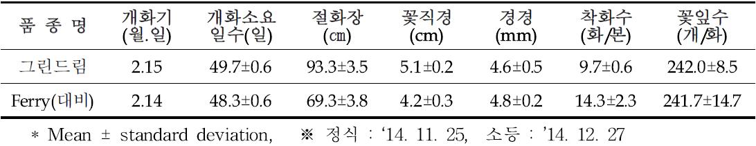 ‘그린드림’ 전조재배형 특성