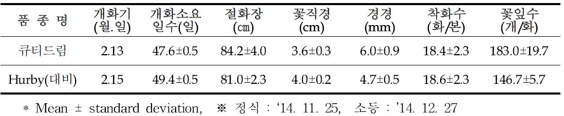 ‘큐티드림’ 전조재배형 특성