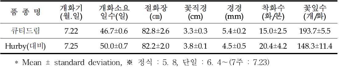 ‘큐티드림’ 차광재배형 특성