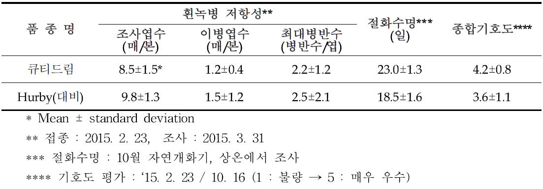 ‘큐티드림’ 흰녹병 저항성, 절화수명, 기호성