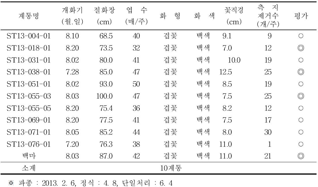 2013년 1차 선발계통 개화특성 : 10계통