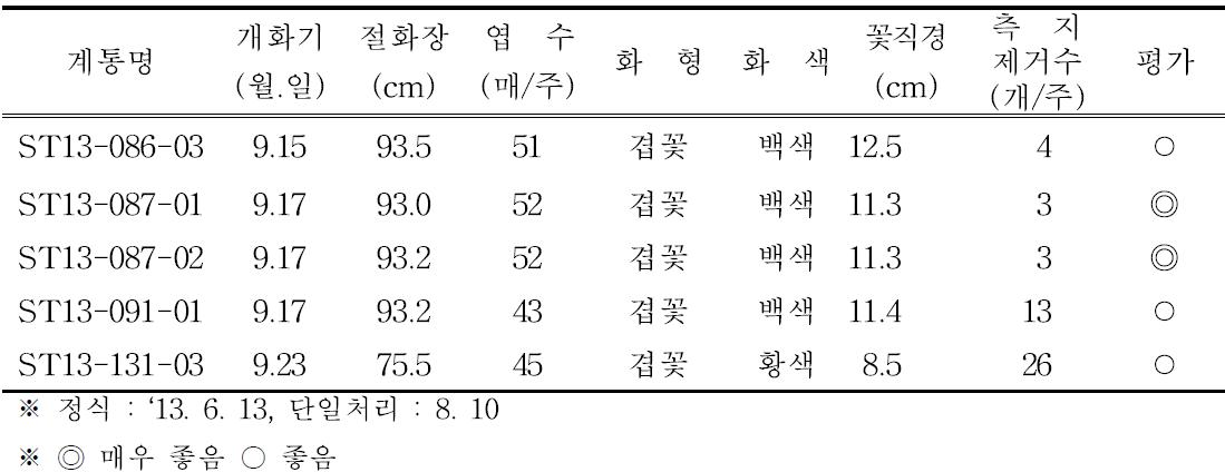 2013년 1차 선발계통 개화특성(9월 개화) : 5계통