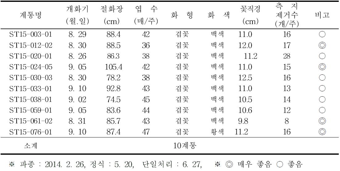 2015년 1차 특성검정 및 선발