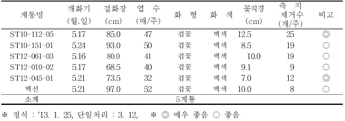 2013년 2차특성 검정 및 선발(5월 개화)