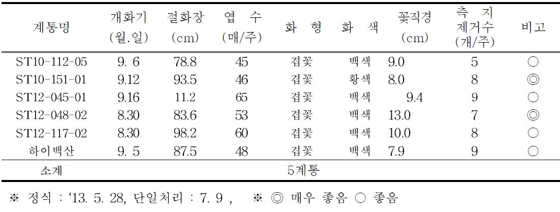 2013년 2차 선발계통 개화특성(9월 개화)