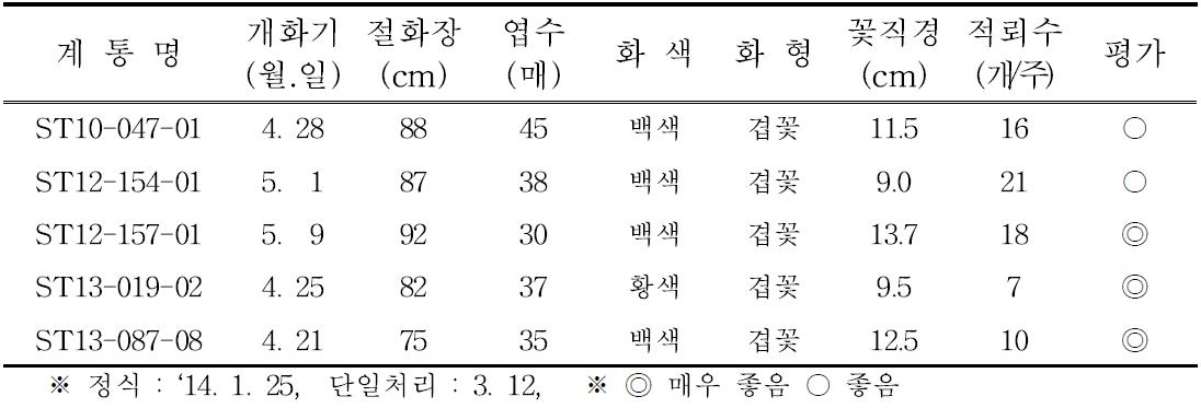 2014년 2차 선발계통 개화특성(4월 개화)