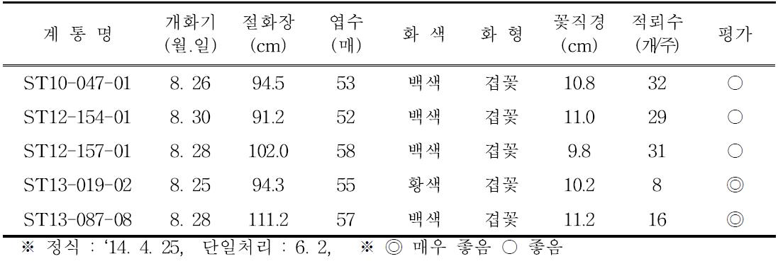 2014년 2차 선발계통 개화특성(8월 개화)