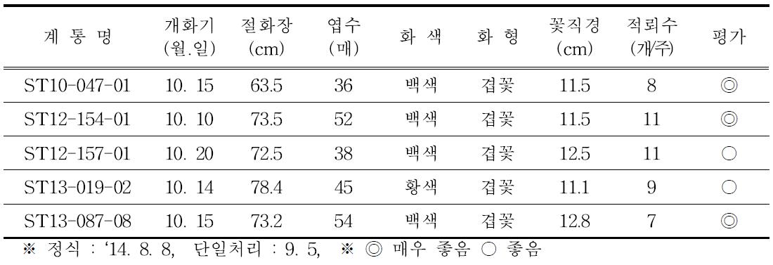 2014년 2차 선발계통 개화특성(10월 개화)