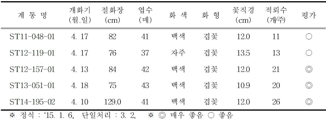 2015년 2차 선발계통 개화특성(4월 개화)