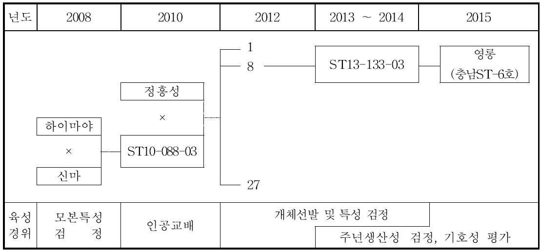 ‘영롱’의 육성 계보도