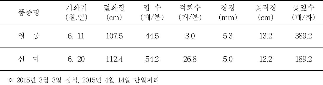 ‘영롱’의 촉성재배 특성