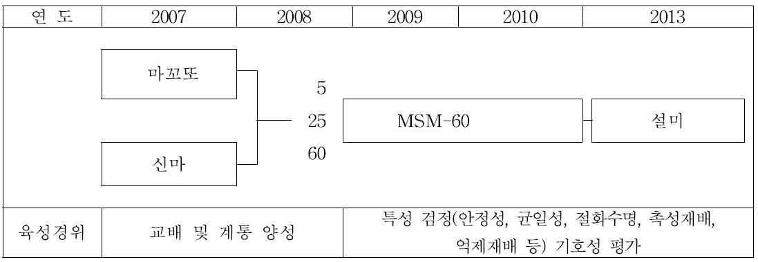 설미 품종육성 계보도