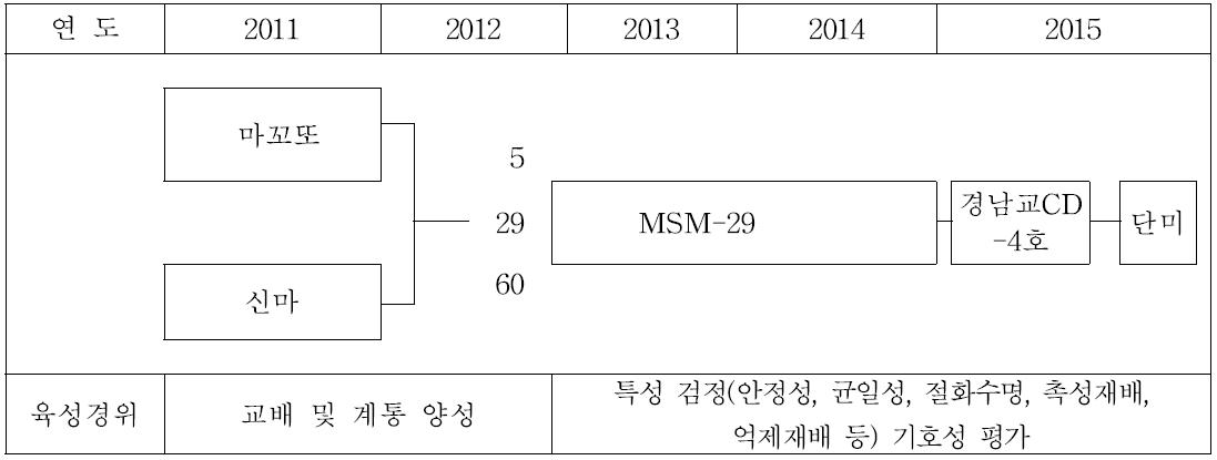 단미 품종육성 계보도