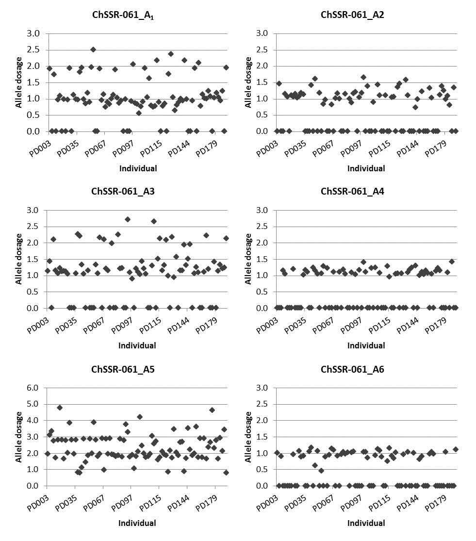 Scattered diagram of 94 individuals in ChSSR-061 depending on allelic dosages.