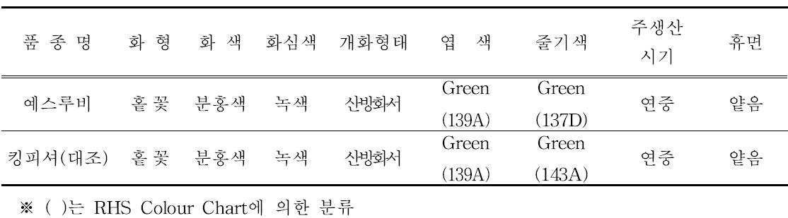 ‘예스루비’의 고유특성