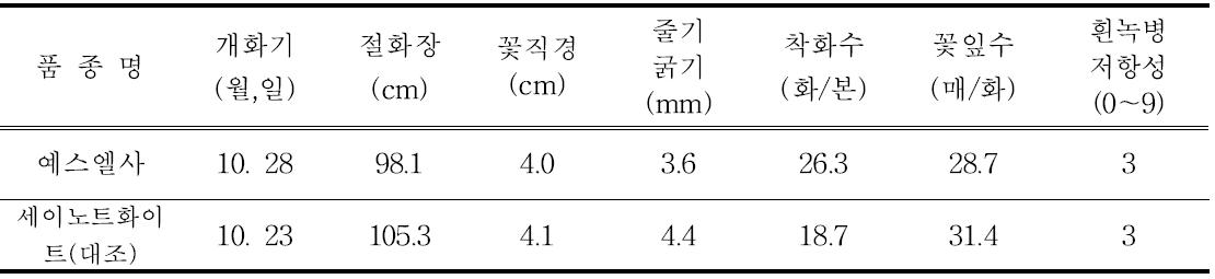 ‘예스엘사’의 개화특성