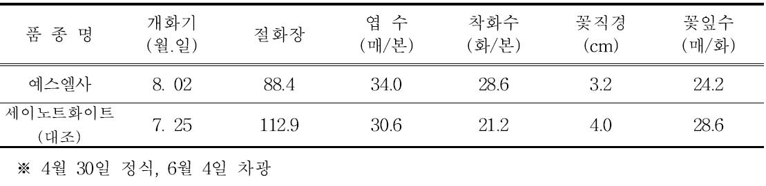 ‘예스엘사’의 촉성재배 특성